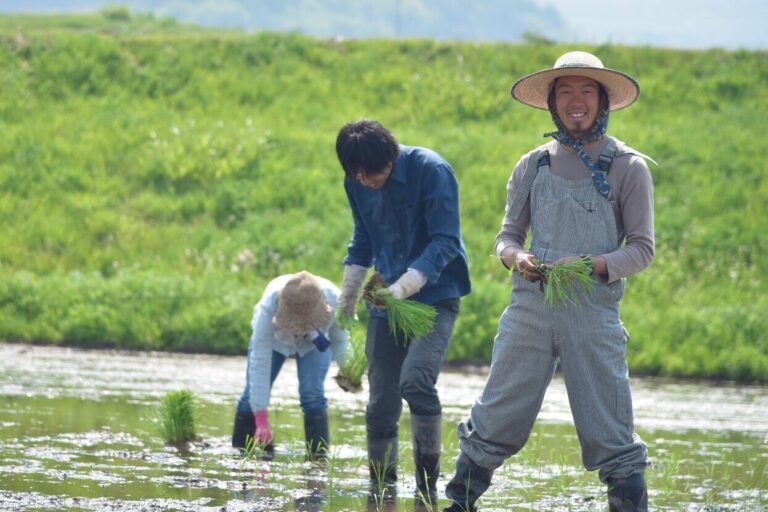 田植えをするガイドの家族