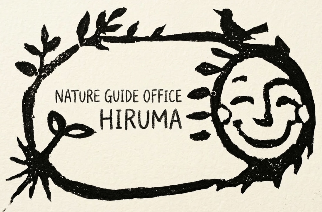 八ヶ岳 登山ガイド|NATURE GUIDE OFFICE HIRUMA 比留間雄太