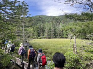 木道を歩く参加者