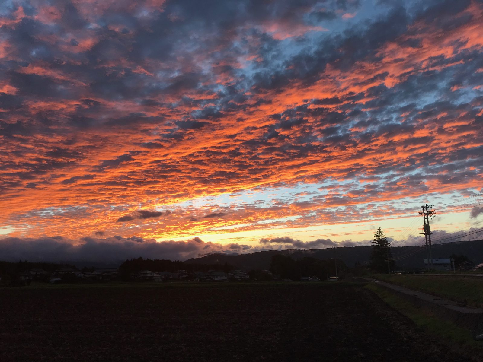 畑の向こうに広がる、夕焼けの空