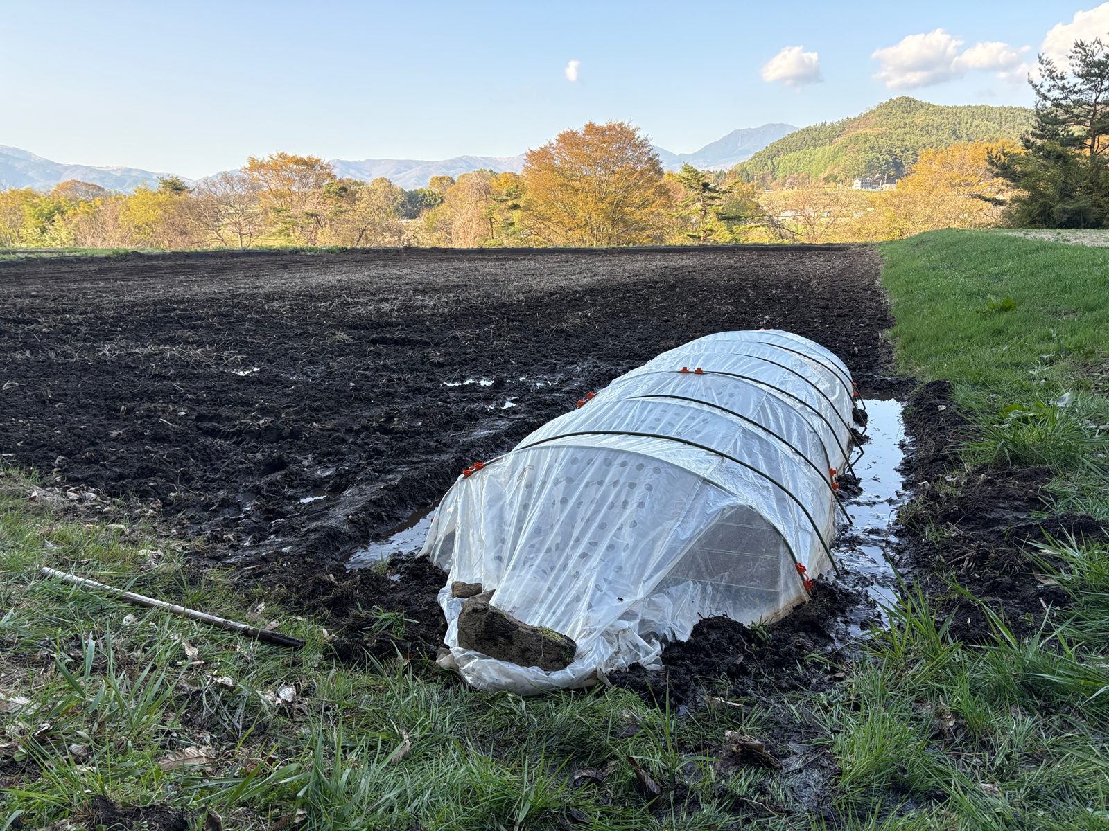 4月、苗を育てるトンネルハウスと遠くの山