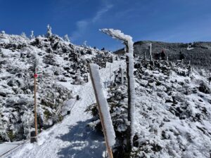 雪と霧氷に包まれた坪庭の道